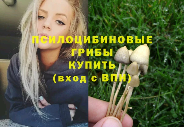 герыч Майский